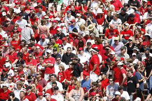 开yun官网-体育赛事观众满意度影响因素研究,体育赛事关注度